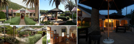 BeeJuice Cafe, Wilderness BeeJuice Cafe, Wilderness