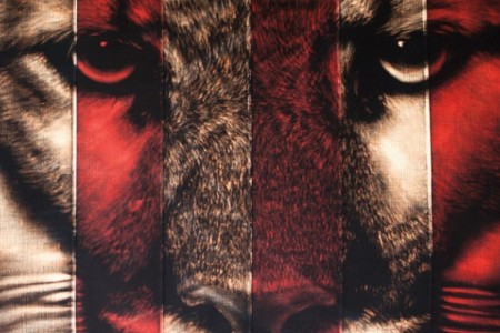 The annual Verge – Art Exhibition for Endangered Species