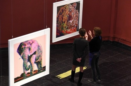 Amazing Art for Species project