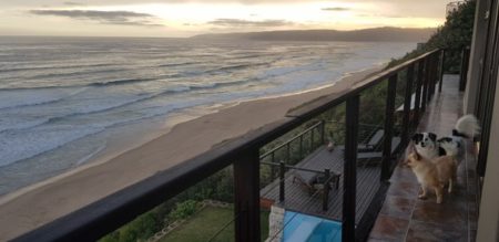 Pet Friendly Beachfront Villa in Wilderness