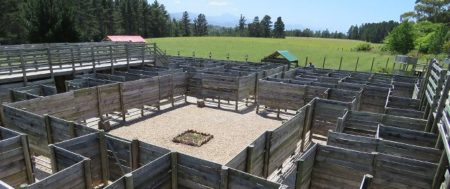 Plett Puzzle Park, The Crags