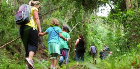 Ingwe Forest Adventures and The Green Ticket, The Crags