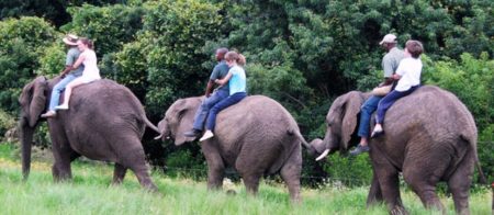 Elephant Sanctuary, The Crags