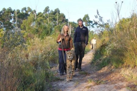 Tenikwa Wildlife Awareness Centre, The Crags