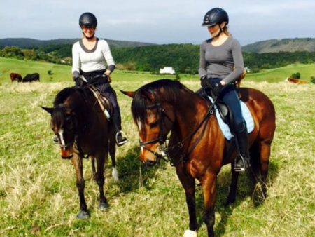 Hog Hollow Horse Trails, The Crags Plettenberg Bay