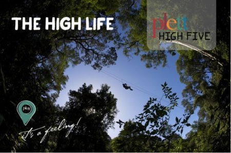 Plett High Five in the Garden Route