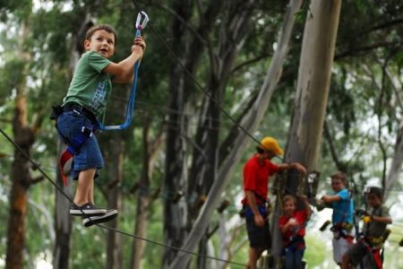 Monkey Moves for Children in the Garden Route