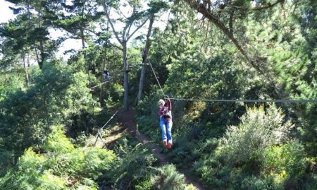 Zip Line in the Garden Route