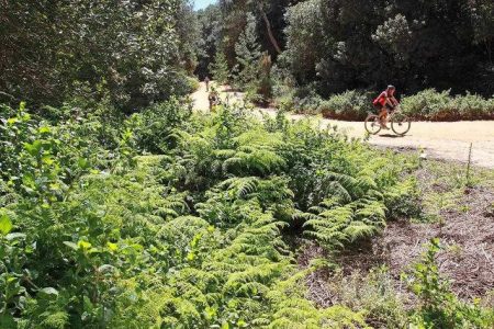 Ride from Uniondale to Knysna via the Prince Alfred’s Pass