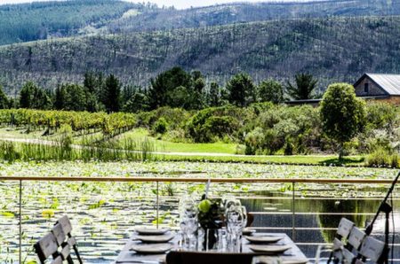 Lodestone Wines, Plettenberg Bay