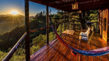 Pet-Friendly Accommodation in the Garden Route