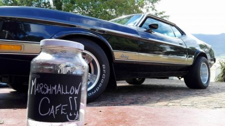 The Marshmallow Garden Cafe, George