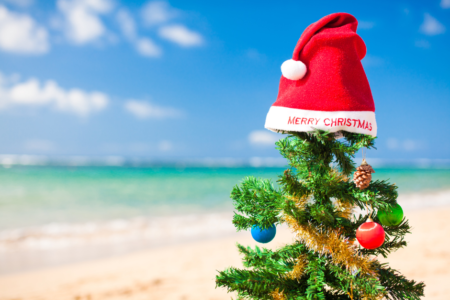 The ultimate Garden Route December & January Guide