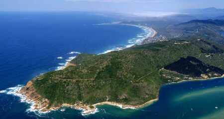 Featherbed Nature Reserve