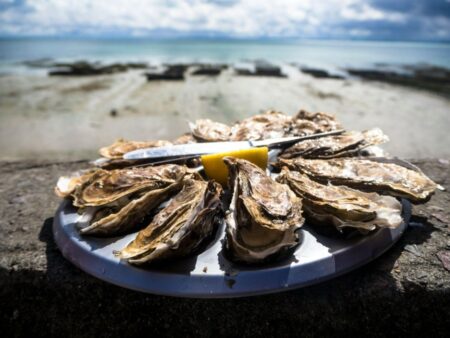 The Knysna Oyster Festival offers Knysna Oysters.