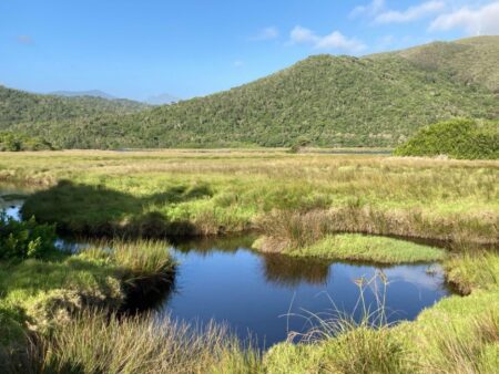 While you’re there visit the Plettenberg Bay Game Reserve, and go on a Horseback Safari or Game Drive.