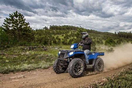 Go bush quad biking with forest trails in Timberlake.