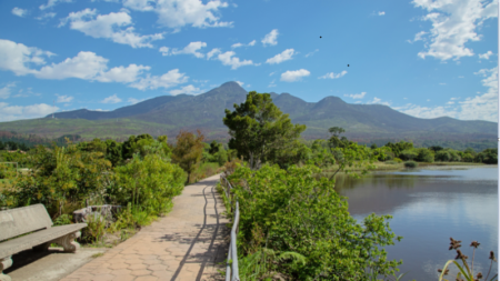 Have a look at the Garden Route Botanical Garden's diverse flora and fauna.