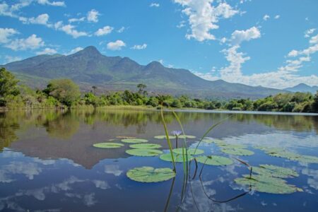 Garden Route's Botanical Garden in George
