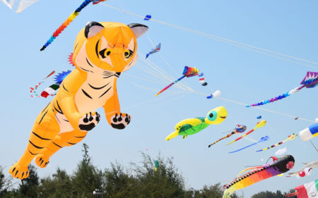 Kites are symbolic of freedom and display the immense power of the wind. Kites are symbolic of freedom and display the immense power of the wind.