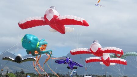 The event celebrates the tradition of kite flying, showcasing the skills and creative prowess of the participants. The event celebrates the tradition of kite flying, showcasing the skills and creative prowess of the participants.