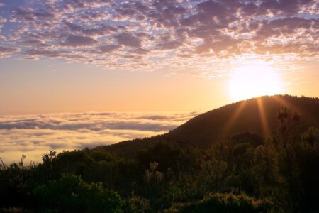 A lookout point in George. A lookout point in George.