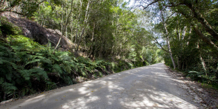 Hiking trail in Knysna