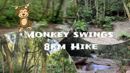 Moneky swings hike in George Moneky swings hike in George