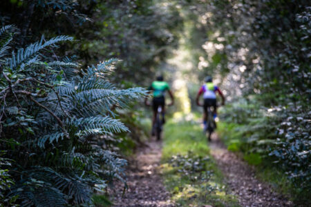 Knysna Cycle Tour 2025