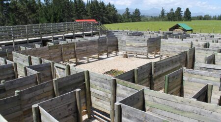 Get lost in Plett Puzzle Park in Plettenberg Bay Get lost in Plett Puzzle Park in Plettenberg Bay