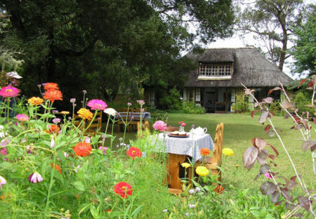 Kids are occupied by the park activities Kids are occupied by the park activities