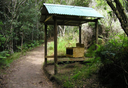 Nature walk at Plett Puzzle Park Nature walk at Plett Puzzle Park