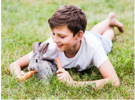 Rabit at Kids Plett Puzzle Park Rabit at Kids Plett Puzzle Park