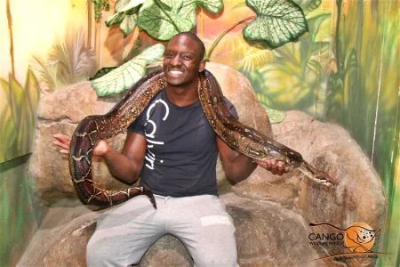 Reptile and exotic animal exhibits Garden Route
