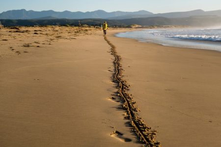Plettenberg Bay is one of the jewels of South Africa's Garden Route